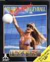 Play <b>Malibu Bikini Volleyball</b> Online